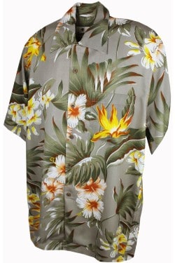 Chemise hawaiienne homme beige